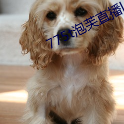 775t泡芙直播los