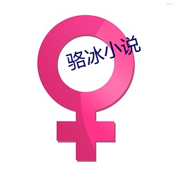 骆冰小说