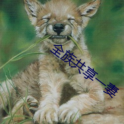 全族共享一妻