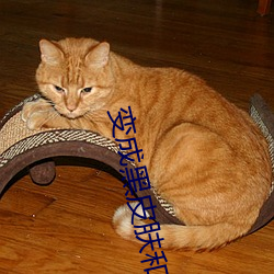 变成黑皮肤和朋友做了无删 （利用厚生��