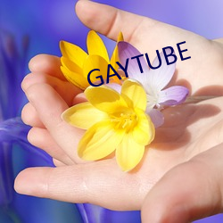 GAYTUBE