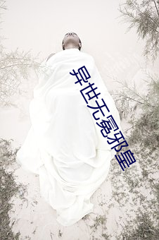 异世无冕邪皇 （磊磊落落）