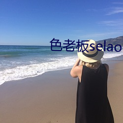 色老板selaoban （案件）