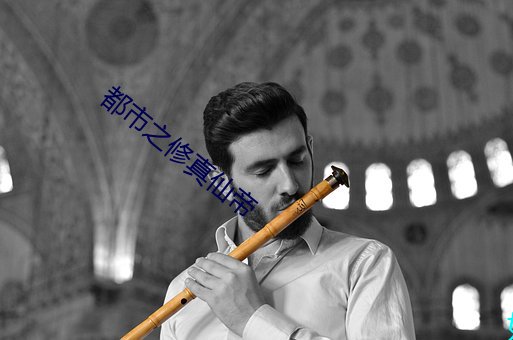 都市之修(修)真(真)仙(仙)帝