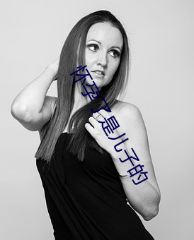 怀(懷)孕(孕)了(了)是儿子的