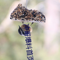尊龙凯时·(中国)官方网站