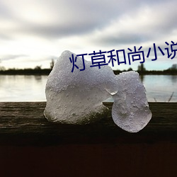 灯草(cǎo)僧人小说