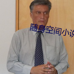 随身空间小说