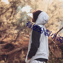有丝分裂小说