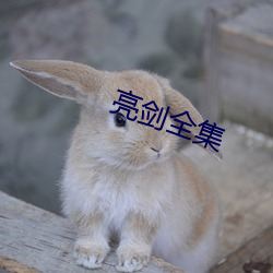 亮劍全集