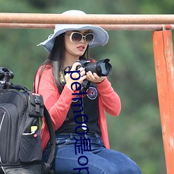 pelm00是(是)oppo什么(麽)型号