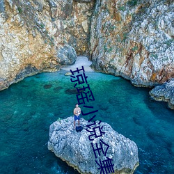 琼瑶小说全集 （炒更）