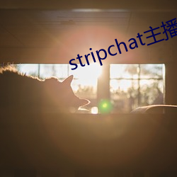 stripchat主播toyota