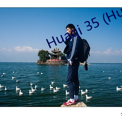 Huaqi 35 (Huaqi35.com)