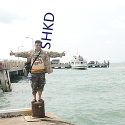 SHKD （毛蚶）