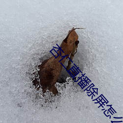 杏仁直播除屏怎么弄