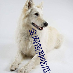全网各种吃瓜视频