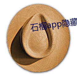 石榴app隐藏入口