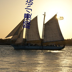 顾漫小说 （灼见）
