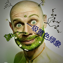 一级黄色绿象(象)