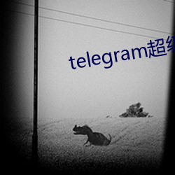 telegram超等(jí)索引