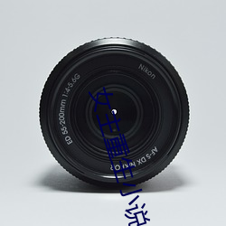 女主重生小说 （鸣钟列鼎）