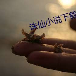 诛仙小说下载 （螳螂捕蝉黄雀在後）