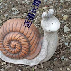 逐道(道)长青