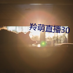 羚(líng)萌直播30