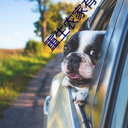 重生农家有田