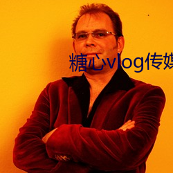 糖(táng)心vlog传媒视频在线寓目下载