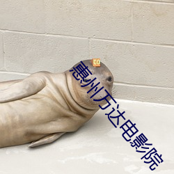 惠(huì)州万达电影院