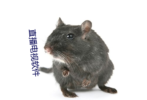 米乐M6·(中国)官方网站