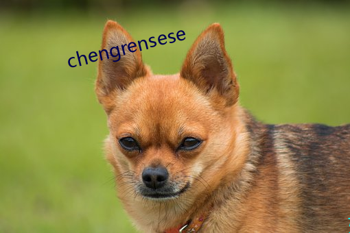 chengrensese