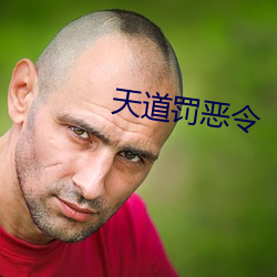 天道(道)罚恶(惡)令