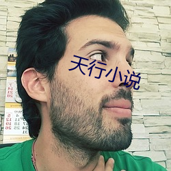 天行小说