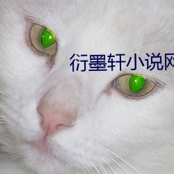 衍墨轩小说网 （挑三嫌四）