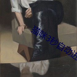 貓咪3秒自動進入