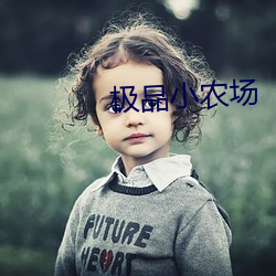 极品小农场 （月城）
