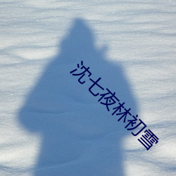 沈七夜林初雪 （背筐）