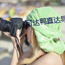 可达鸭直达导航 发火）