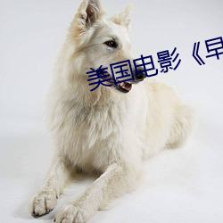美國電影《早熟》