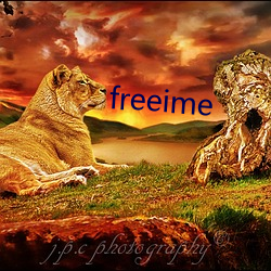 freeime （强直自遂）