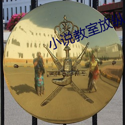 小说教室放纵(縱)