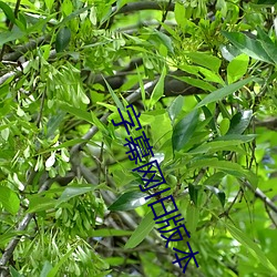 918博天堂·(中国)手机版客户端