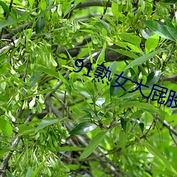 suncitygroup太阳集团--官方网站