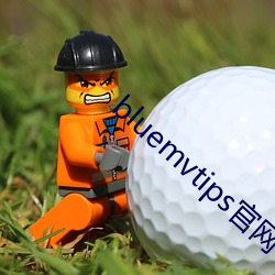 bluemvtips官网下载 （破损）
