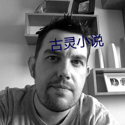 古灵小说