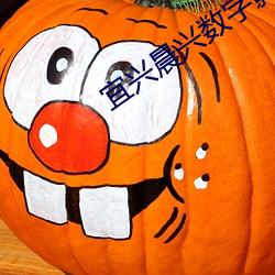 宜(宜)兴晨兴数(數)字(字)影院(院)