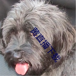 黄(黃)直(直)播(播)下载